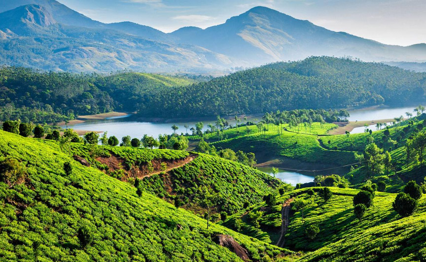 Munnar Best Time to Visit