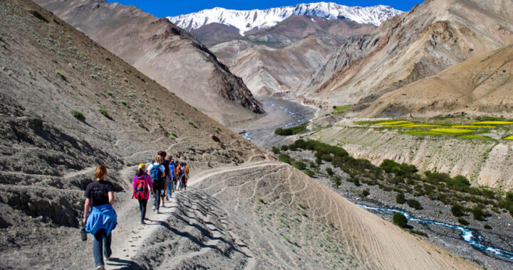 Spituk to Stok Trek | Trekking Tour in Ladakh, Himalayas