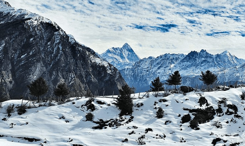 Gurso Bugyal, Auli