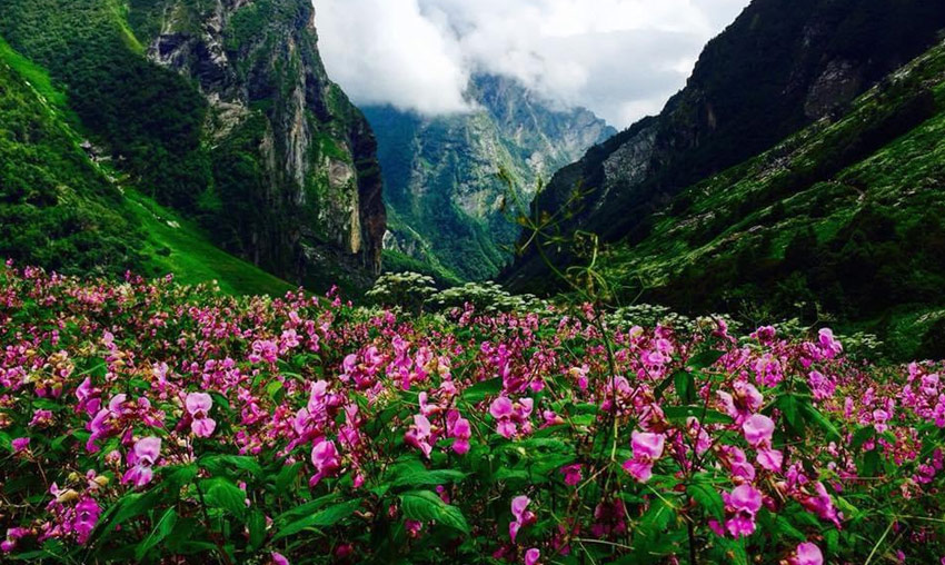 Nanda Devi National Park, Joshimath