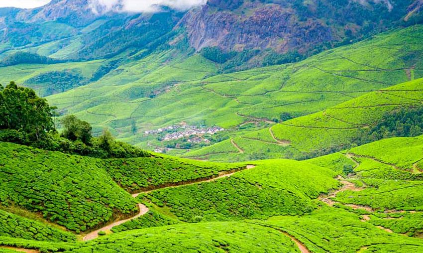 Kolukkumalai Tea Estate, Munnar