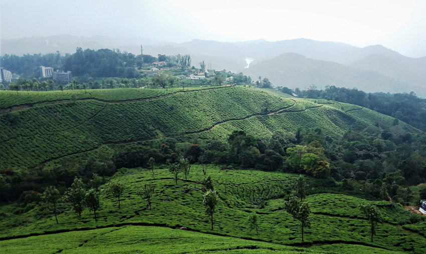 Pothamedu Viewpoint, Munnar