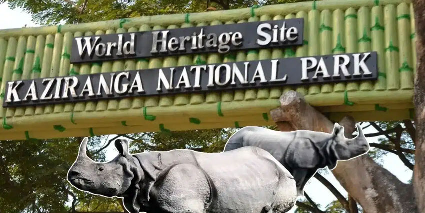 Kaziranga National Park, Assam